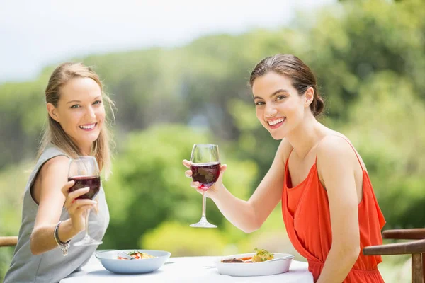 Szczęśliwy przyjaciele opiekania kieliszki do wina — Zdjęcie stockowe