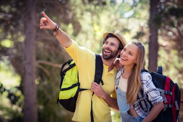 Paar zeigt im Wald nach oben — Stockfoto