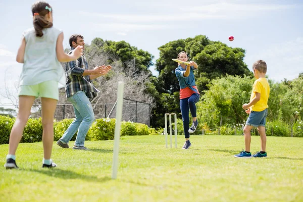 Family playing cricket in park — Stock Photo, Image