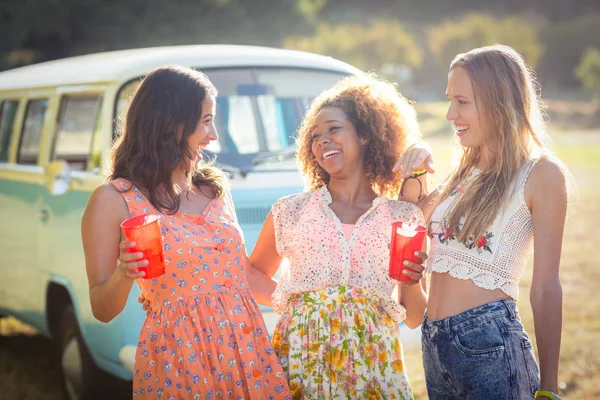 Amigos femininos interagindo uns com os outros no parque — Fotografia de Stock