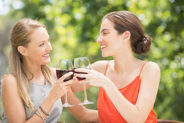 Heureux amis toasting verres à vin — Photo