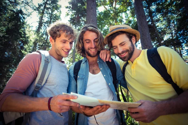 Amigos olhando para o mapa na floresta — Fotografia de Stock