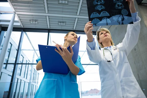 Médico e enfermeiro examinando relatório de raio-X — Fotografia de Stock
