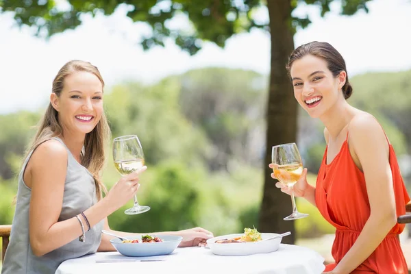 Happy friends holding glasses of wine in a restaurant — Stock Photo, Image