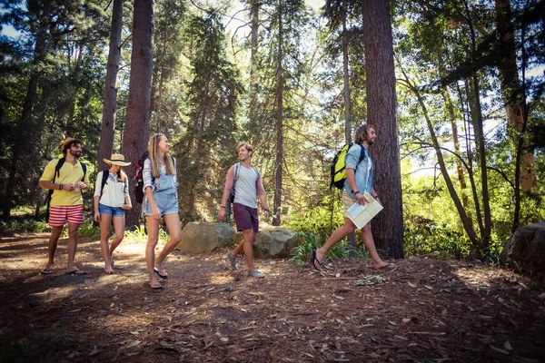 Grupp vänner vandrar tillsammans i skogen — Stockfoto