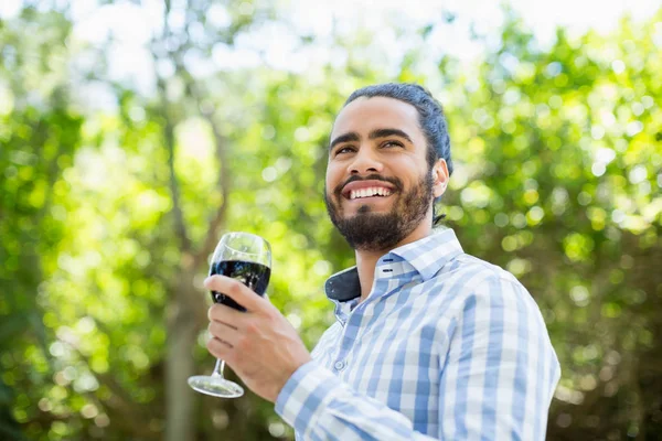 Man håller glas vin i parken — Stockfoto