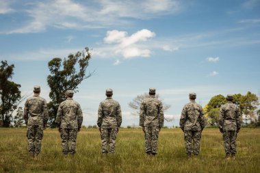 Group of military soldiers standing in line clipart