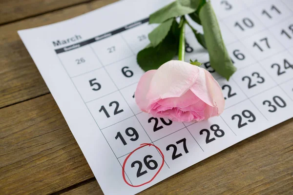 Pink rose on calendar — Stock Photo, Image