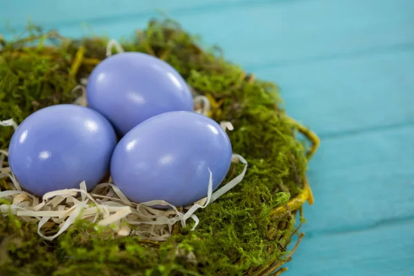 Ovos de Páscoa violeta no ninho — Fotografia de Stock