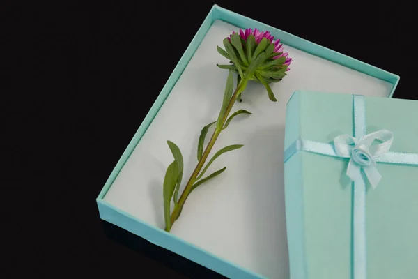 Caja de regalo abierta con una flor —  Fotos de Stock
