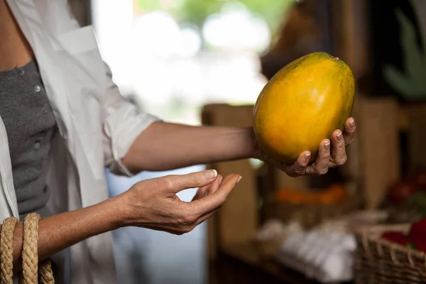 Woman hand holding papaya — Stock Photo, Image