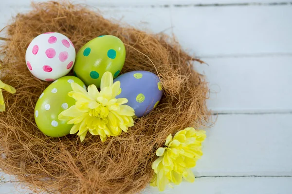 Painted Easter eggs in the nest — Stock Photo, Image