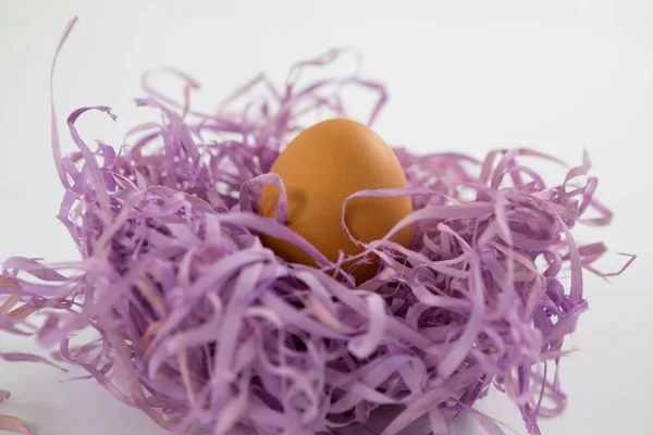 Коричневые пасхальные яйца в бумажном гнезде — стоковое фото