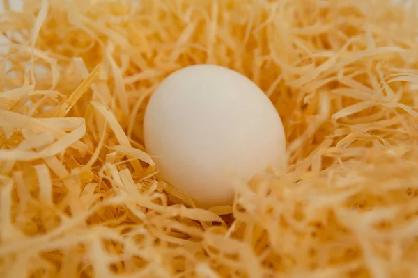 Ovo de Páscoa branco no ninho — Fotografia de Stock