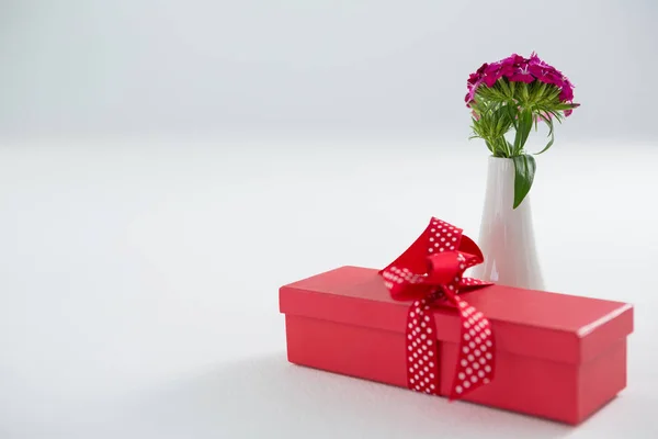 Caixa de presente e vaso de flores no fundo branco — Fotografia de Stock