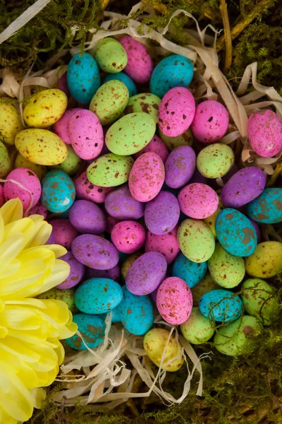 Uova pasquali variopinte in cesto di vimini con un fiore — Foto Stock