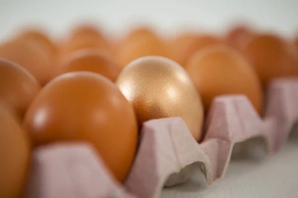 Goldenes Osterei im Karton — Stockfoto