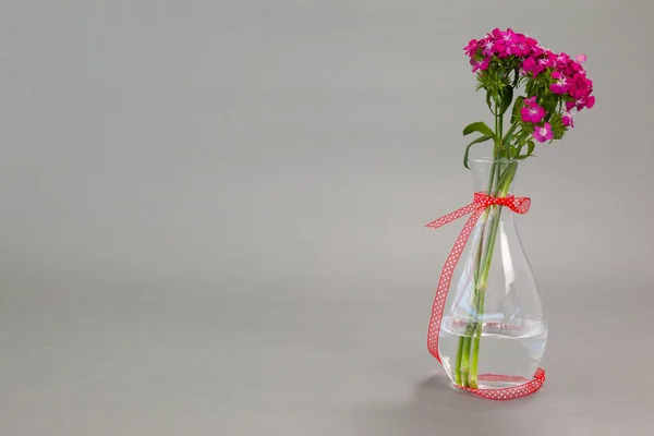 Blumenvase mit roter Schleife gebunden — Stockfoto