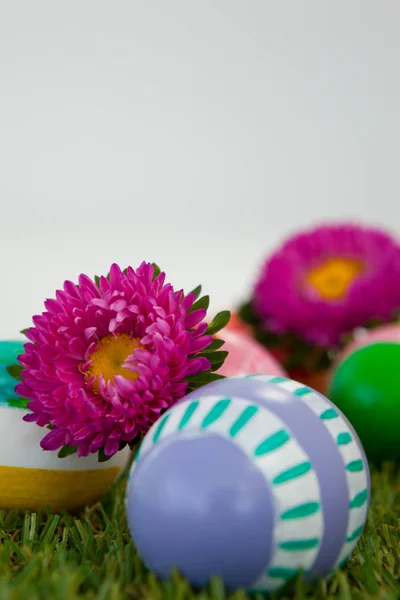 Ovos de páscoa pintados com flor na grama — Fotografia de Stock