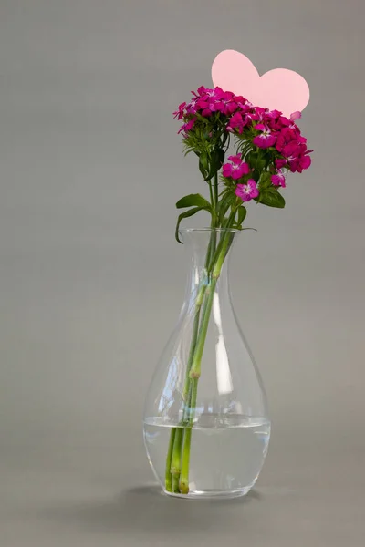 Vas bunga dengan kartu bentuk jantung kosong — Stok Foto