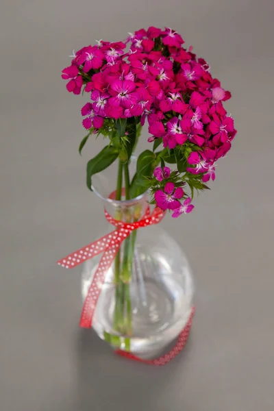 Blumenvase mit roter Schleife gebunden — Stockfoto
