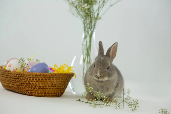 Cesta con huevos de Pascua y conejo de Pascua —  Fotos de Stock