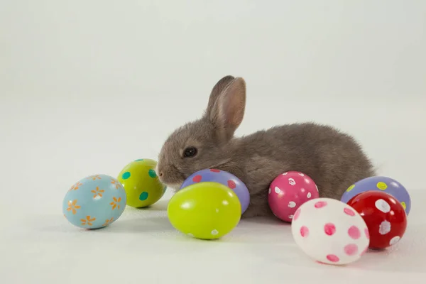 Цветные пасхальные яйца и пасхальный кролик — стоковое фото