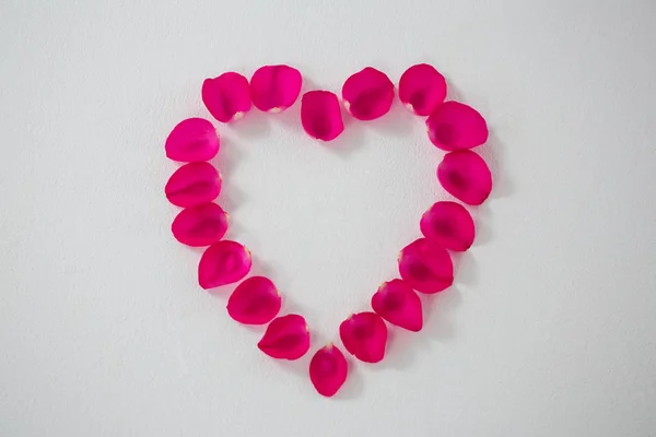 Pétalas de rosa formando forma de coração contra fundo branco — Fotografia de Stock