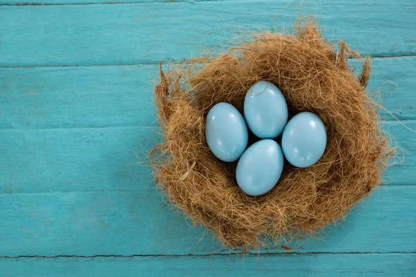 Modrý velikonoční vejce v hnízdě — Stock fotografie