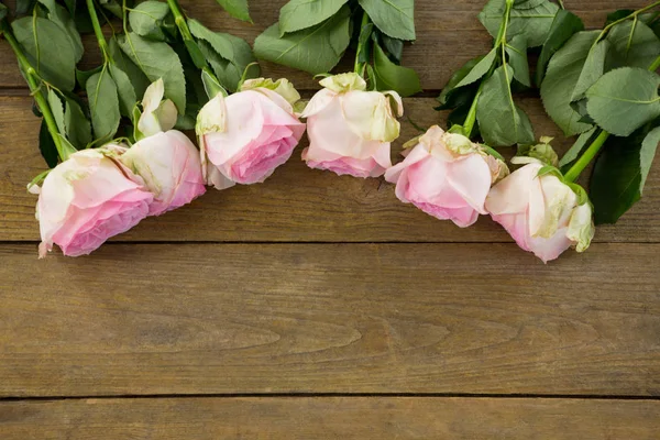 Rosas rosadas dispuestas en tablón de madera —  Fotos de Stock