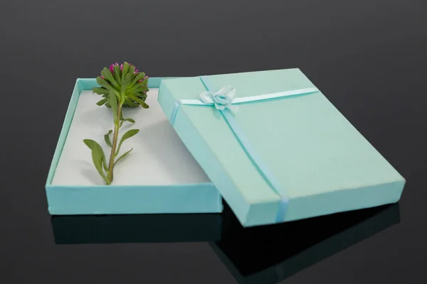 Geöffnete Geschenkschachtel mit einer Blume — Stockfoto