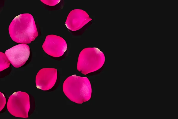 Rose petals on black background — Stock Photo, Image