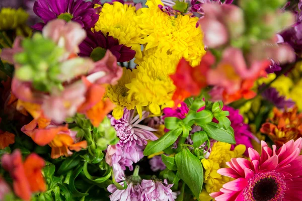 Flores em florista loja — Fotografia de Stock