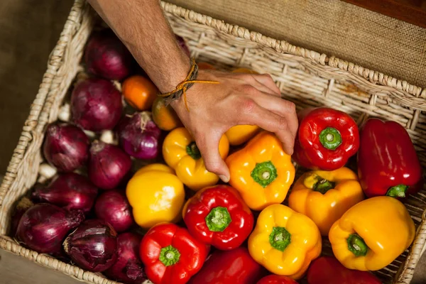 Mano del personal masculino seleccionando pimiento en sección orgánica — Foto de Stock