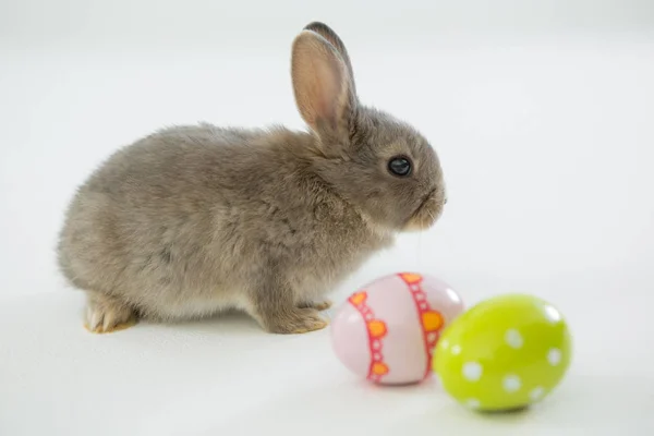 Easter eggs and Easter bunny — Stock Photo, Image