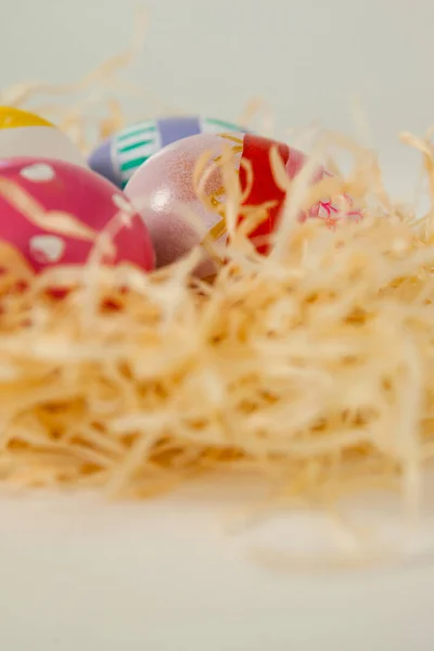 鸟巢中的彩绘复活节彩蛋 — 图库照片