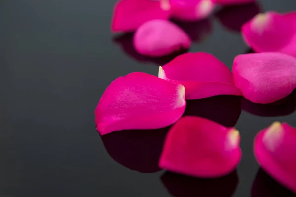 Rose petals on black background — Stock Photo, Image