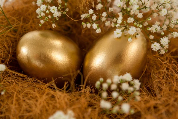 Zlatý velikonoční vejce v hnízdě — Stock fotografie