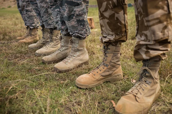Alacsony-részben katonai katonák sorban állva — Stock Fotó