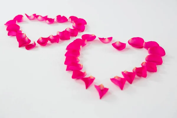 Pétalos de rosa formando forma de corazón contra fondo blanco —  Fotos de Stock