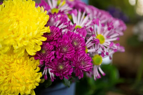 Flores en floristería — Foto de Stock