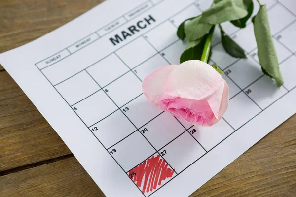 Roze roos op kalender — Stockfoto