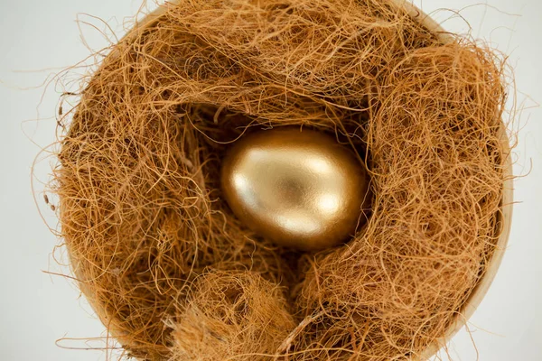 Ovo dourado no ninho — Fotografia de Stock