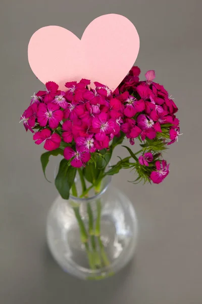 Nahaufnahme einer Blumenvase mit einer leeren herzförmigen Karte — Stockfoto