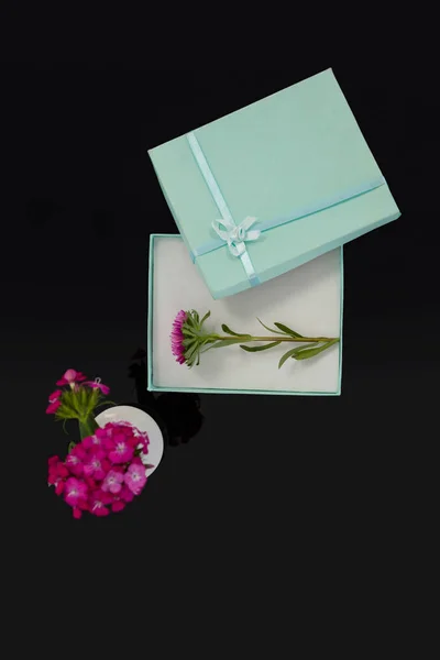 Opened gift box with flower and vase — Stock Photo, Image