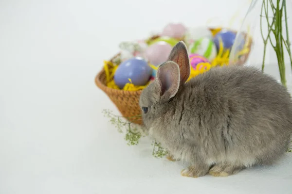 Mand met paaseieren en paashaas — Stockfoto