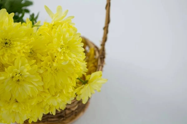 Flores amarillas en canasta de mimbre sobre fondo blanco —  Fotos de Stock