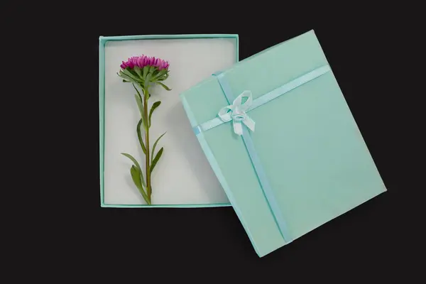 Caja de regalo abierta con una flor —  Fotos de Stock