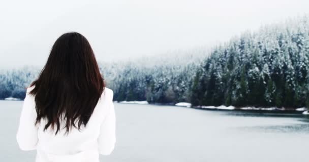Vista trasera de la mujer de pie en el paisaje cubierto de nieve — Vídeo de stock