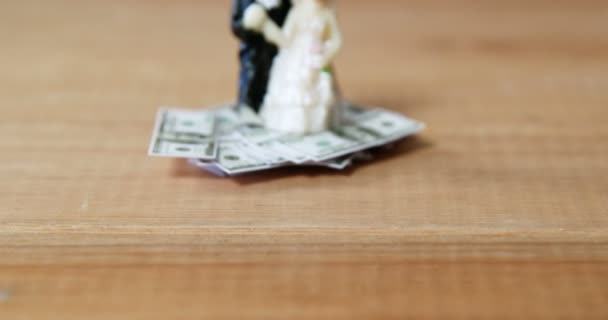 Coppia sposa in miniatura tenuto su dollari — Video Stock